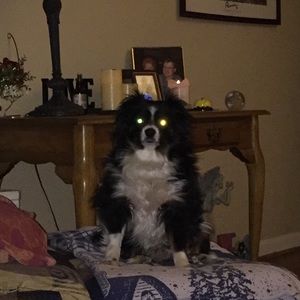 Meet your Posher, Aj